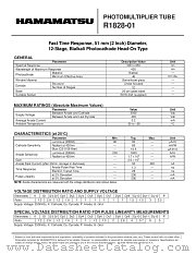 R1828-01 datasheet pdf Hamamatsu Corporation