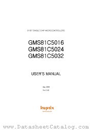 GMS81C5016 datasheet pdf Hynix Semiconductor