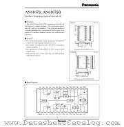 AN6167 datasheet pdf Panasonic
