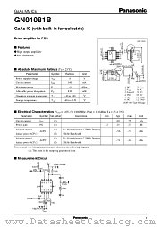 GN01081B datasheet pdf Panasonic