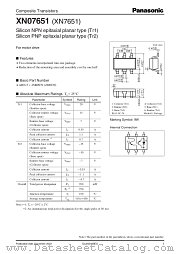 XN07651 datasheet pdf Panasonic