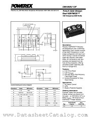 CM100DU-12F datasheet pdf Powerex Power Semiconductors