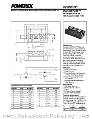 CM100DY-24H datasheet pdf Powerex Power Semiconductors
