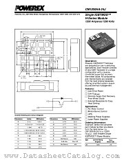 CM1200HA-24J datasheet pdf Powerex Power Semiconductors
