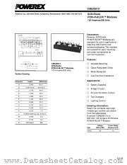 CM520813 datasheet pdf Powerex Power Semiconductors