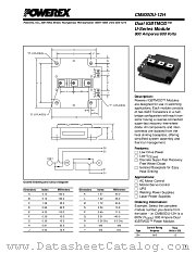 CM800DU-12H datasheet pdf Powerex Power Semiconductors