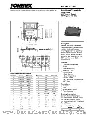 PM100CSD060 datasheet pdf Powerex Power Semiconductors