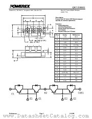 QIC1208001 datasheet pdf Powerex Power Semiconductors