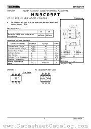 HN9C09FT datasheet pdf TOSHIBA