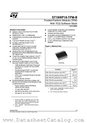 ST19WP18-TPM-B datasheet pdf ST Microelectronics