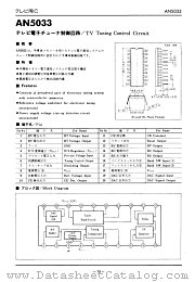 AN5033 datasheet pdf Panasonic