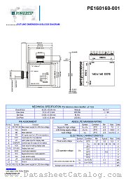 PE160160-001 datasheet pdf Powertip Technology