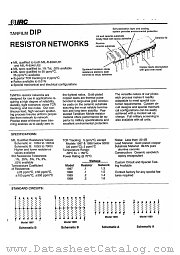 1989-XX datasheet pdf International Resistive