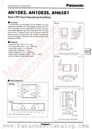 AN1082 datasheet pdf Panasonic