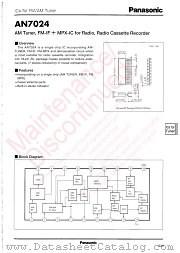 AN7024 datasheet pdf Panasonic
