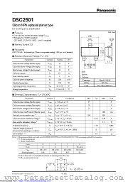 DSC2501 datasheet pdf Panasonic