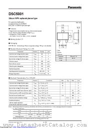DSC5001 datasheet pdf Panasonic