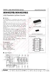 MN4029BS datasheet pdf Panasonic