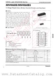 MN4060BS datasheet pdf Panasonic