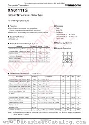 XN01111G datasheet pdf Panasonic