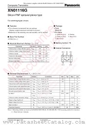 XN01116G datasheet pdf Panasonic