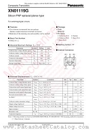 XN01119G datasheet pdf Panasonic
