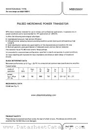 MSB12900Y datasheet pdf Philips