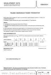 RZB12250Y datasheet pdf Philips