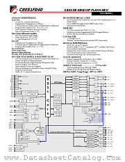 C8051F040 datasheet pdf CYGNAL Integrated Products Inc