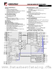 C8051F042 datasheet pdf CYGNAL Integrated Products Inc
