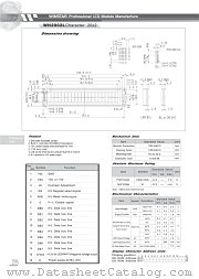 WH2002L datasheet pdf WINSTAR