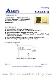 DLBM-CG121 datasheet pdf Delta