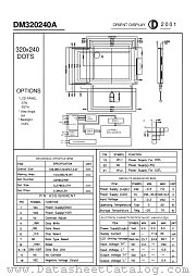DM320240A datasheet pdf Orient Display
