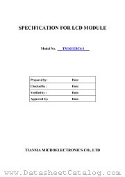 TM161EBC-1 datasheet pdf etc