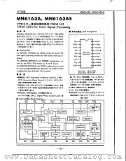 MN6163AS datasheet pdf Panasonic