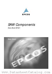 B7821 datasheet pdf EPCOS